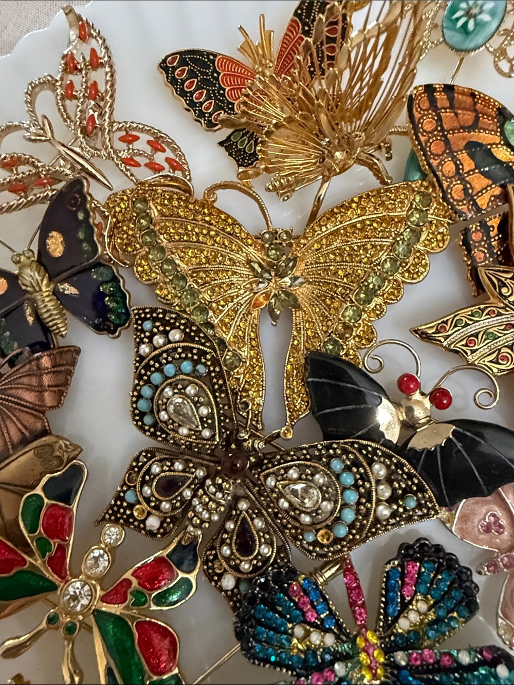 Butterfly Brooch Tray For Live Show on 9/3 - Picture 10 of 12
